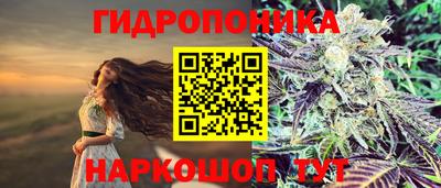 сатива Коммунар