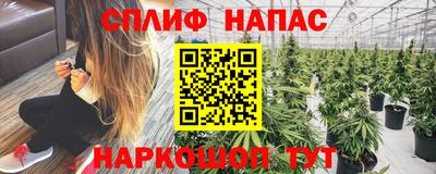 сатива Коммунар