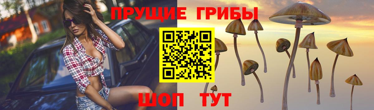 Псилоцибиновые грибы прущие грибы  Вход с VPN  Бутурлиновка  Галлюциногенные грибы Cubensis 